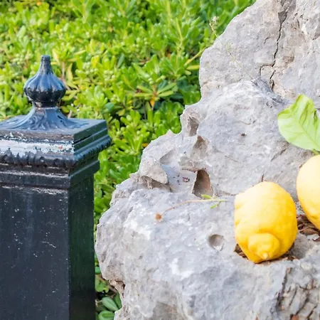 Villino Agave 别墅 圣维托罗卡波