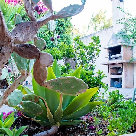Villino Agave Villa San Vito Lo Capo